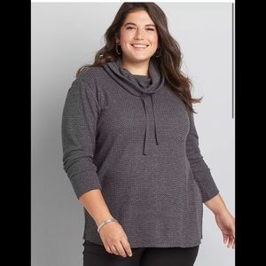 Lane Bryant cowl neck sweater